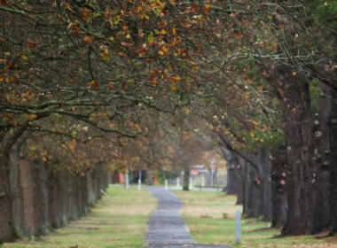 Ballarat-branch