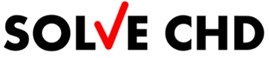 Solve Logo